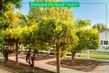 6811 Willow Road - Photo 70