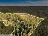 1401 Big Ridge Road - Photo 30
