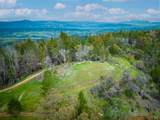 1401 Big Ridge Road - Photo 43