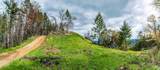 1401 Big Ridge Road - Photo 46