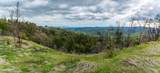 1401 Big Ridge Road - Photo 47