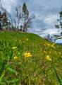 1401 Big Ridge Road - Photo 48