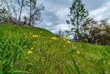 1401 Big Ridge Road - Photo 49