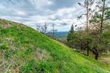 1401 Big Ridge Road - Photo 52