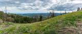 1401 Big Ridge Road - Photo 61