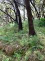 2100 Big Ridge Road - Photo 11