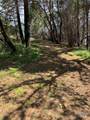 2100 Big Ridge Road - Photo 14