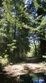 2100 Big Ridge Road - Photo 6