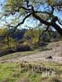 2100 Big Ridge Road - Photo 7