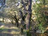 2100 Big Ridge Road - Photo 8