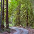 3150 Mill Creek Road - Photo 3