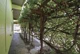4310 Berryessa Knoxville Road - Photo 47