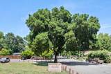 1755 Novato Boulevard - Photo 58
