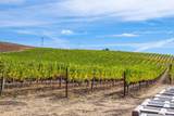 3800 Jameson Canyon Road - Photo 10