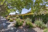 121 Macarthur Street - Photo 2