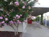 18450 Highway 88 - Photo 19