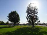 18450 Highway 88 - Photo 48