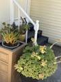 237 Petaluma Way - Photo 25
