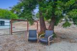 473 Orchard Lane - Photo 37