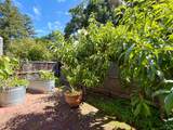 2770 Pike Drive - Photo 38
