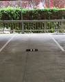 101 Headlands Court - Photo 30