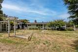 23800 Hwy 1 - Photo 6