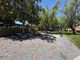 8201 Camino Colegio - Photo 19