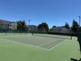 8201 Camino Colegio - Photo 26