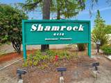 76 Shamrock Circle - Photo 36