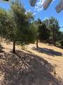 81 Scottsdale Way - Photo 17