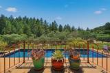 2491 Spring Mountain Road - Photo 49