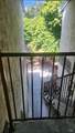 1625 Park Lane - Photo 28