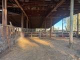 21000 County Road 95 - Photo 9