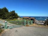 34201 Pacific Reefs Road - Photo 48