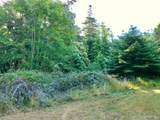 19130 Dorffi Road - Photo 2