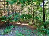 19130 Dorffi Road - Photo 3