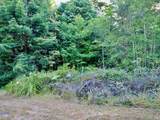 19130 Dorffi Road - Photo 4