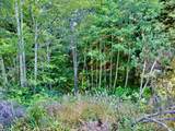 19130 Dorffi Road - Photo 5