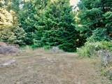 19130 Dorffi Road - Photo 6
