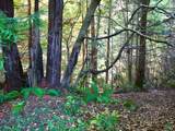 19130 Dorffi Road - Photo 8
