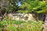 139 Bear Flag Road - Photo 41
