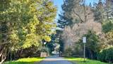 30 Camellia Circle - Photo 45