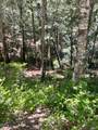 24413 Rose Terrace - Photo 3