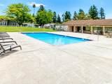 902 Corte Amarillo Road - Photo 20