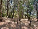 0 Lone Pine Drive - Photo 10