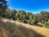 0 Lone Pine Drive - Photo 11