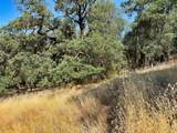 0 Lone Pine Drive - Photo 12