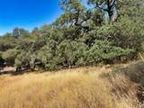 0 Lone Pine Drive - Photo 13