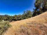 0 Lone Pine Drive - Photo 15