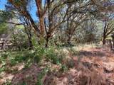 0 Lone Pine Drive - Photo 19